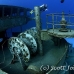 wreck_kittiwake_gc_h_0178_cay3602.jpg